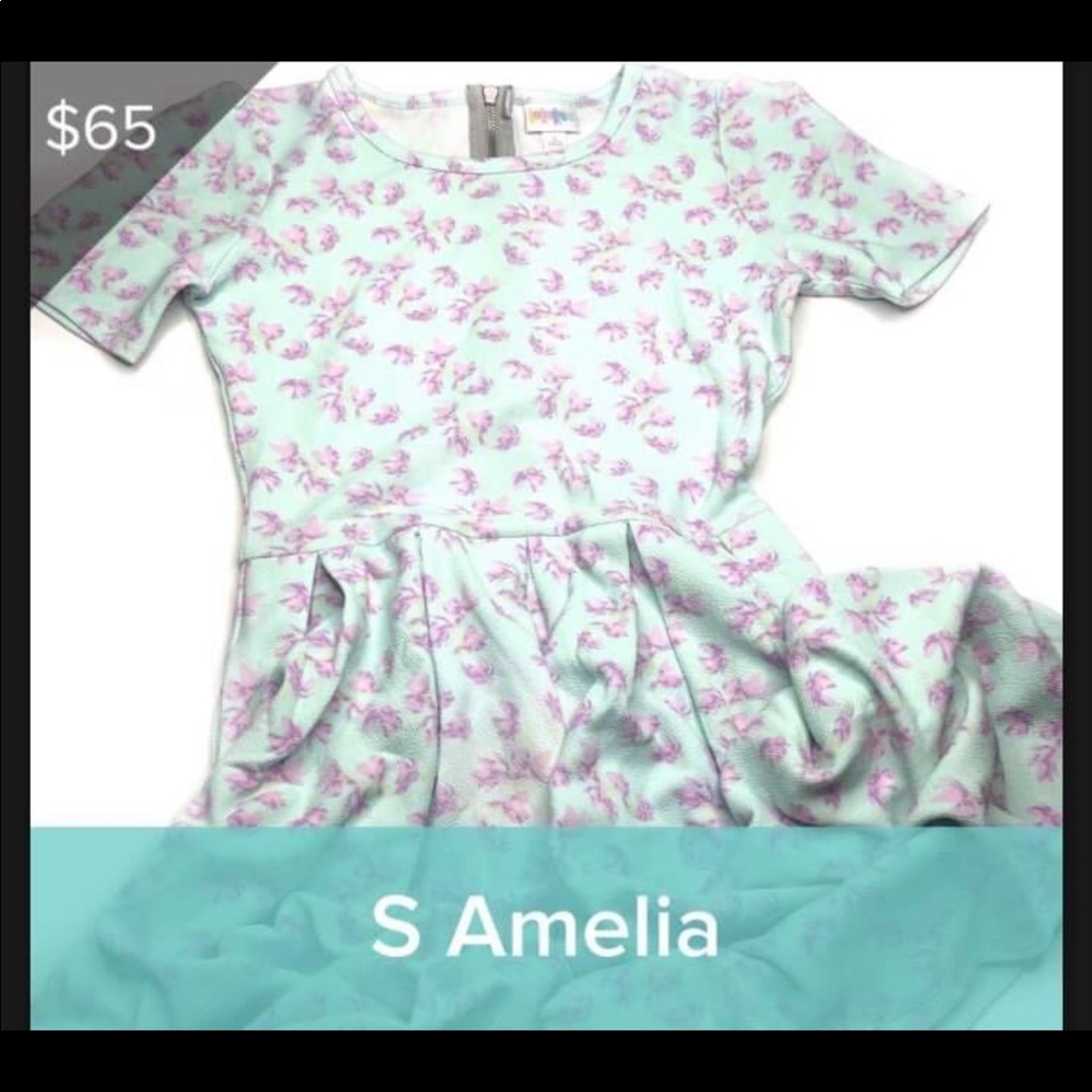 Small Amelia Dress with zipper fit & flare NWT